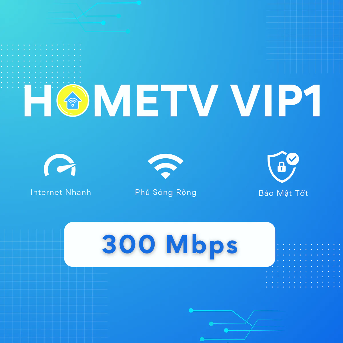 Home TV VIP 1 VNPT CHợ lớn