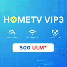HomeTV Vip 3 VNPT Chợ Lớn